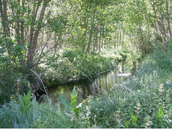 Canal cerca del río